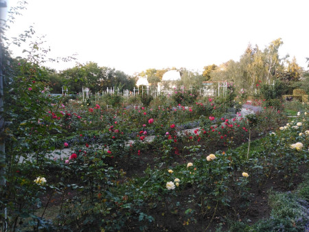 1919.05.04 Milan Rastislav Štefánik